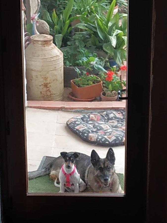 Casa Rural Santa Ana Miguel Esteban Dış mekan fotoğraf